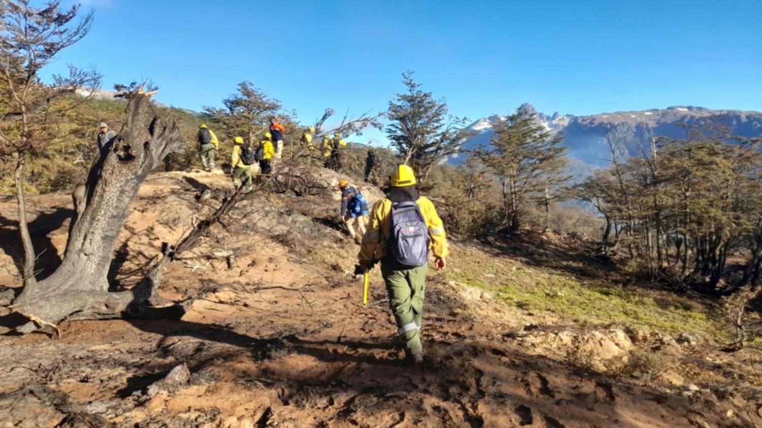 Estrategias y esfuerzos de bomberos sanjuaninos en la extinción de incendios forestales en Río Negro