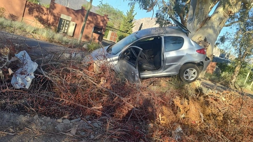 16c69fab-d6b1-4cb1-8a06-21163a452888-jpg.