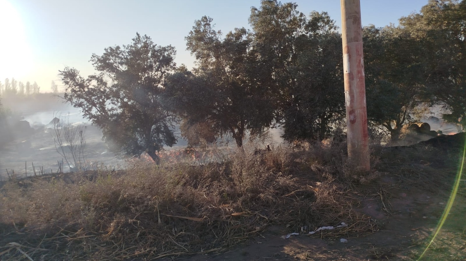 El viento zonda y los incendios, protagonistas de la mañana del jueves en San  Juan