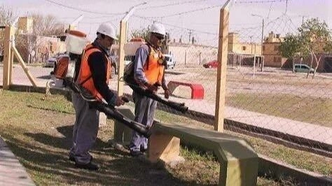 Cronograma semanal actualizado de desinsectación y desratización en Capital