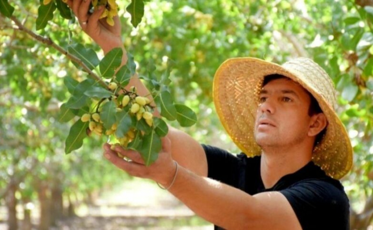 Productos sanjuaninos de exportación